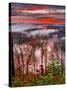 Blue Ridge Beauty-Steven Maxx-Stretched Canvas