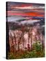 Blue Ridge Beauty-Steven Maxx-Stretched Canvas