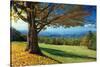 Blue Ridge Beauty-Mike Jones-Stretched Canvas