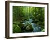 Blue Ridge Falls Creek-Denton Rumsey-Framed Photographic Print