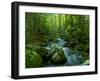 Blue Ridge Falls Creek-Denton Rumsey-Framed Photographic Print