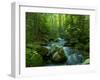 Blue Ridge Falls Creek-Denton Rumsey-Framed Photographic Print