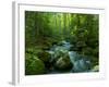 Blue Ridge Falls Creek-Denton Rumsey-Framed Photographic Print