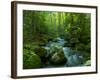 Blue Ridge Falls Creek-Denton Rumsey-Framed Photographic Print