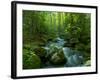 Blue Ridge Falls Creek-Denton Rumsey-Framed Photographic Print