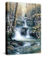 Blue Ridge Falls-Egidio Antonaccio-Stretched Canvas