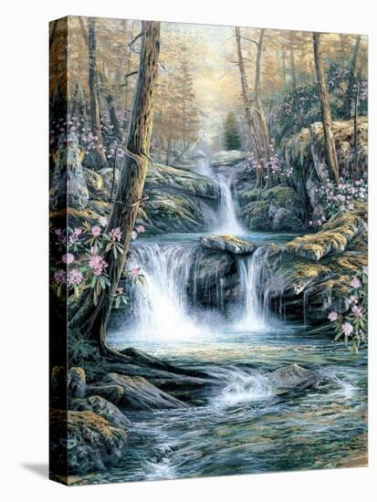 Blue Ridge Falls-Egidio Antonaccio-Stretched Canvas