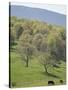 Blue Ridge Farm, Virginia Historic Landmark, Virginia, United States of America, North America-Snell Michael-Stretched Canvas