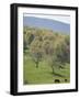 Blue Ridge Farm, Virginia Historic Landmark, Virginia, United States of America, North America-Snell Michael-Framed Photographic Print