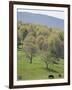 Blue Ridge Farm, Virginia Historic Landmark, Virginia, United States of America, North America-Snell Michael-Framed Photographic Print