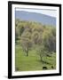 Blue Ridge Farm, Virginia Historic Landmark, Virginia, United States of America, North America-Snell Michael-Framed Photographic Print