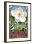 Blue Ridge, Georgia - Magnolia-Lantern Press-Framed Art Print