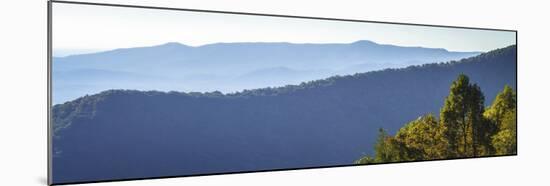 Blue Ridge Morning I-Alan Hausenflock-Mounted Art Print