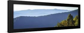 Blue Ridge Morning I-Alan Hausenflock-Framed Art Print