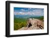 Blue Ridge Morning-Jon Bilous-Framed Photographic Print