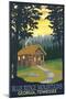 Blue Ridge Mountains - Cabin in Woods-Lantern Press-Mounted Art Print