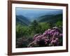 Blue Ridge Mountains Catawba Rhododendron, Blue Ridge Parkway, Virginia, USA-Charles Gurche-Framed Photographic Print