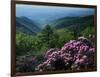 Blue Ridge Mountains Catawba Rhododendron, Blue Ridge Parkway, Virginia, USA-Charles Gurche-Framed Photographic Print