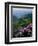 Blue Ridge Mountains Catawba Rhododendron, Blue Ridge Parkway, Virginia, USA-Charles Gurche-Framed Premium Photographic Print