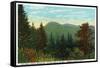 Blue Ridge Mountains, North Carolina - Great Craggy Mountains View-Lantern Press-Framed Stretched Canvas