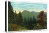 Blue Ridge Mountains, North Carolina - Great Craggy Mountains View-Lantern Press-Stretched Canvas