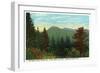 Blue Ridge Mountains, North Carolina - Great Craggy Mountains View-Lantern Press-Framed Art Print