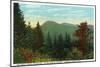 Blue Ridge Mountains, North Carolina - Great Craggy Mountains View-Lantern Press-Mounted Art Print