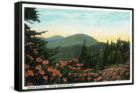 Blue Ridge Mountains, North Carolina - Mount Mitchelll Scene-Lantern Press-Framed Stretched Canvas