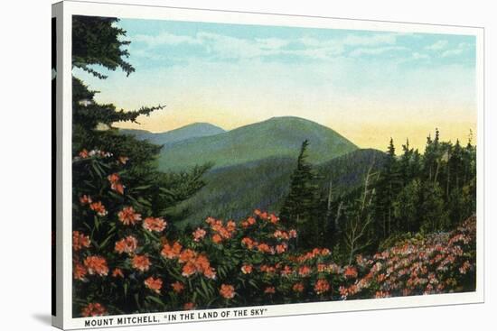 Blue Ridge Mountains, North Carolina - Mount Mitchelll Scene-Lantern Press-Stretched Canvas