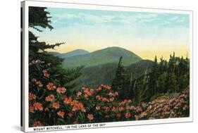 Blue Ridge Mountains, North Carolina - Mount Mitchelll Scene-Lantern Press-Stretched Canvas