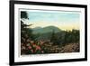 Blue Ridge Mountains, North Carolina - Mount Mitchelll Scene-Lantern Press-Framed Premium Giclee Print