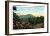 Blue Ridge Mountains, North Carolina - Mount Mitchelll Scene-Lantern Press-Framed Art Print