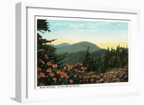 Blue Ridge Mountains, North Carolina - Mount Mitchelll Scene-Lantern Press-Framed Art Print
