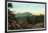 Blue Ridge Mountains, North Carolina - Mount Mitchelll Scene-Lantern Press-Framed Art Print