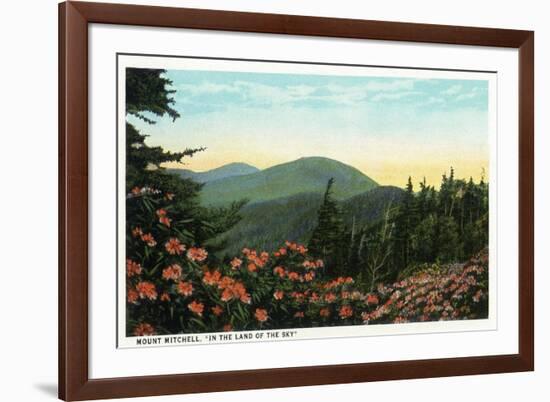 Blue Ridge Mountains, North Carolina - Mount Mitchelll Scene-Lantern Press-Framed Art Print