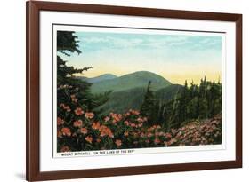 Blue Ridge Mountains, North Carolina - Mount Mitchelll Scene-Lantern Press-Framed Art Print