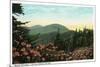 Blue Ridge Mountains, North Carolina - Mount Mitchelll Scene-Lantern Press-Mounted Art Print