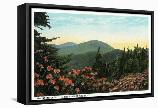 Blue Ridge Mountains, North Carolina - Mount Mitchelll Scene-Lantern Press-Framed Stretched Canvas