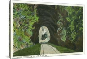 Blue Ridge Mountains, North Carolina - Train in Double Tunnel Scene-Lantern Press-Stretched Canvas