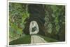 Blue Ridge Mountains, North Carolina - Train in Double Tunnel Scene-Lantern Press-Mounted Premium Giclee Print
