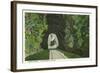 Blue Ridge Mountains, North Carolina - Train in Double Tunnel Scene-Lantern Press-Framed Art Print