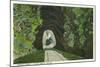 Blue Ridge Mountains, North Carolina - Train in Double Tunnel Scene-Lantern Press-Mounted Art Print