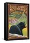 Blue Ridge Mountains, Virginia - Bear in Forest-Lantern Press-Framed Stretched Canvas
