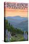 Blue Ridge Parkway - Bear Family and Spring Flowers-Lantern Press-Stretched Canvas
