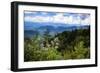 Blue Ridge Parkway vista, Smoky Mountains, USA.-Anna Miller-Framed Photographic Print