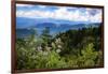 Blue Ridge Parkway vista, Smoky Mountains, USA.-Anna Miller-Framed Photographic Print