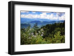 Blue Ridge Parkway vista, Smoky Mountains, USA.-Anna Miller-Framed Photographic Print