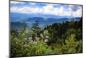Blue Ridge Parkway vista, Smoky Mountains, USA.-Anna Miller-Mounted Photographic Print