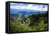 Blue Ridge Parkway vista, Smoky Mountains, USA.-Anna Miller-Framed Stretched Canvas