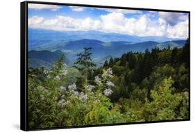 Blue Ridge Parkway vista, Smoky Mountains, USA.-Anna Miller-Framed Stretched Canvas